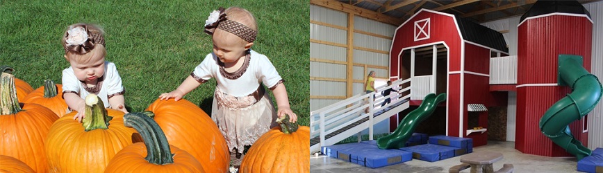 Enjoy Fall Family Fun on the Farm at Lehner's Pumpkin Farm!