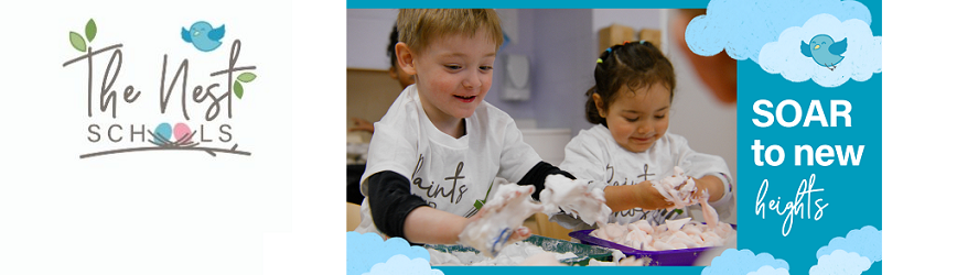 Enroll Your Children & See Them Soar to New Heights at The Nest Schools Dublin!