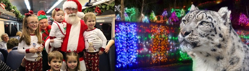 Wild Lights at Akron Zoo Kicks Off This Friday, 11/29 Through 12/30!